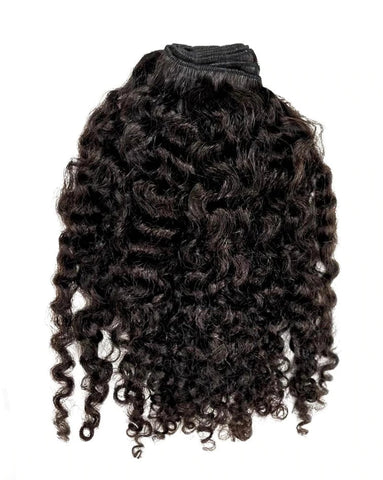 BURMESE CURLY CLOSURE